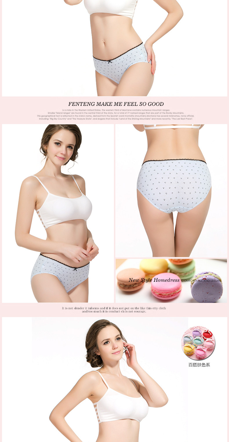 Slip jeunesse KO4015 en coton - Ref 669308 Image 13