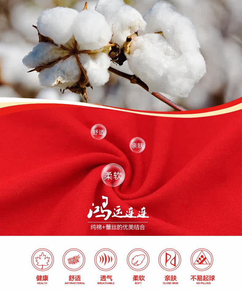 Slip jeunesse LS131 en coton - Ref 669273 Image 9