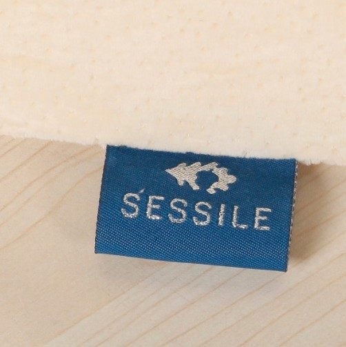 ��˼�ֵ��ͼ�������ͷZT12128