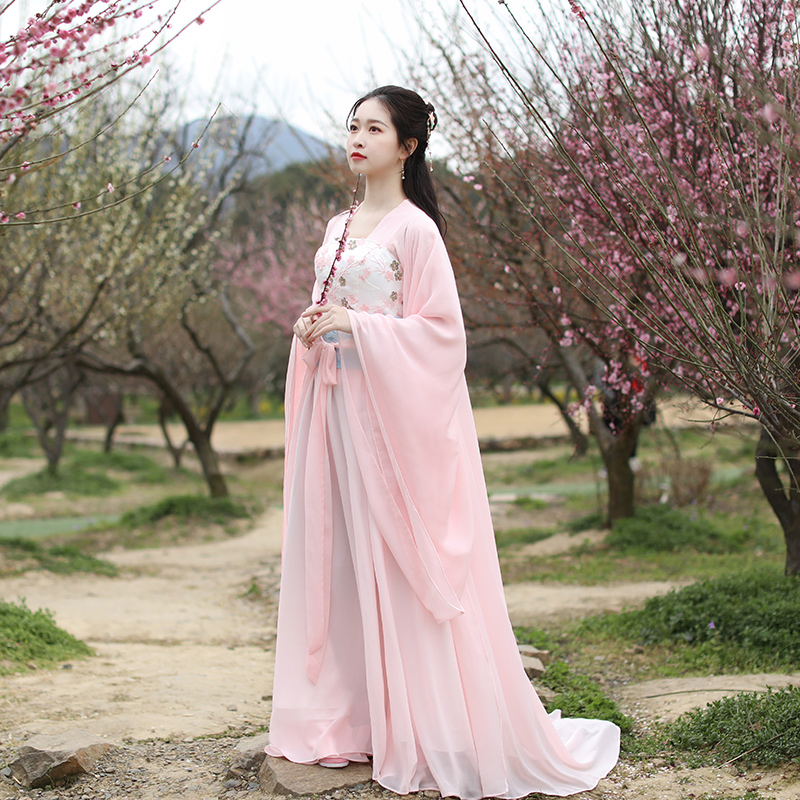 Ancient costume women's Hanfu skirt fairy fresh and elegant fairy air ancient style improved ancient year performance costume tube top big sleeves