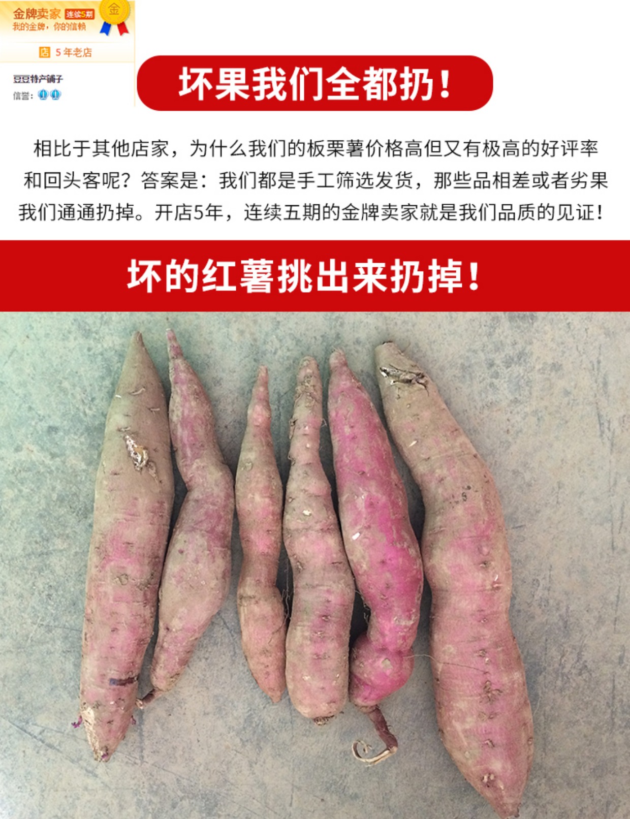 精品新鲜农家自种板栗红薯