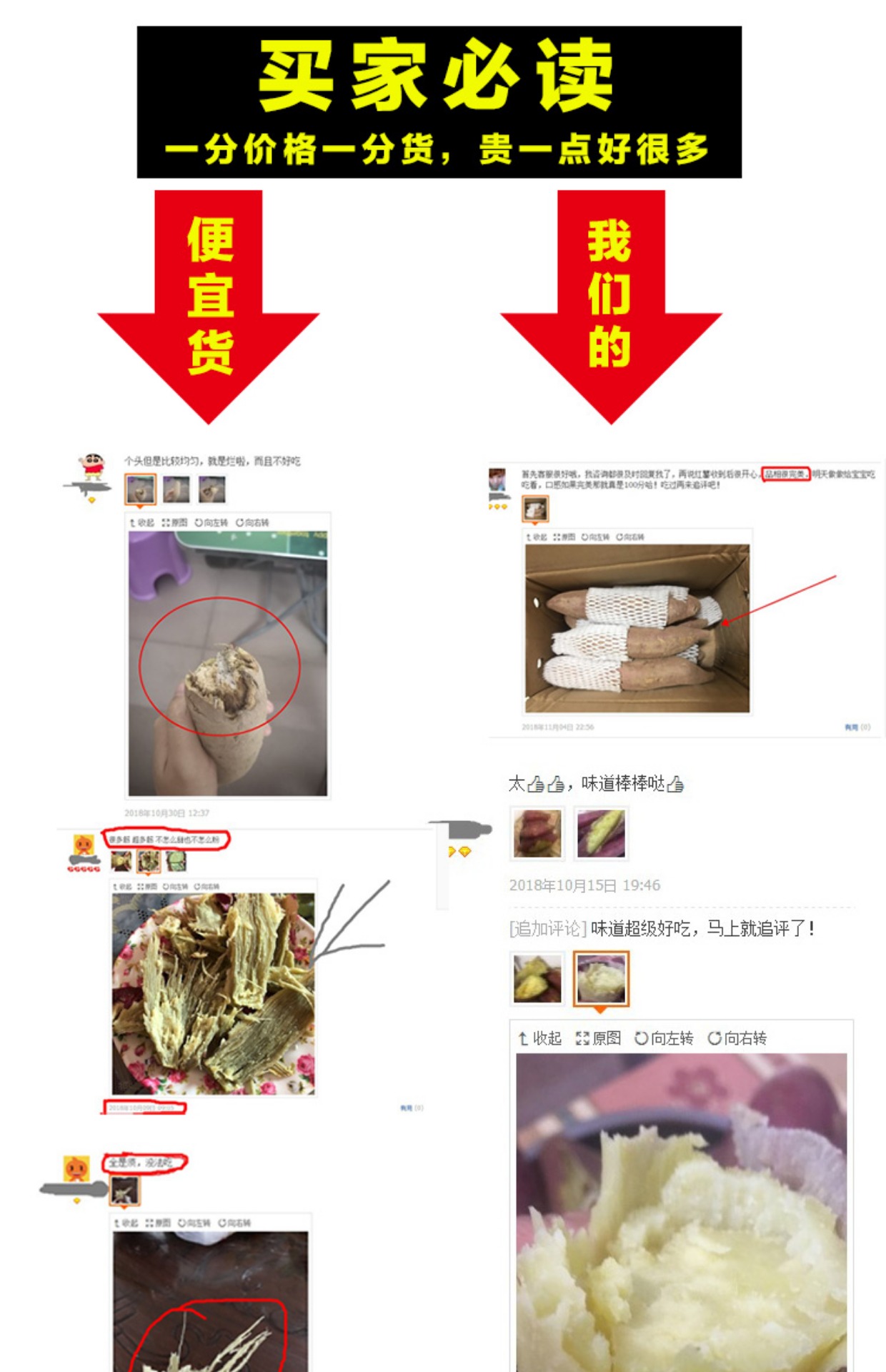 精品新鲜农家自种板栗红薯