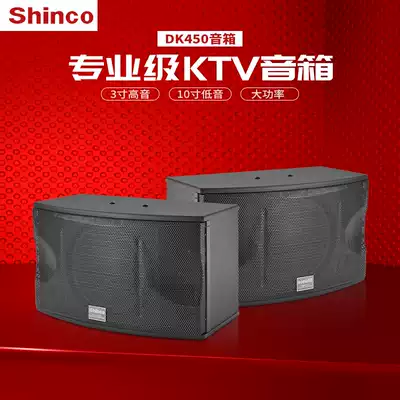 Xinke DK-450A audio equipment Karaoke home KTV audio set Household small 10-inch card bag speaker