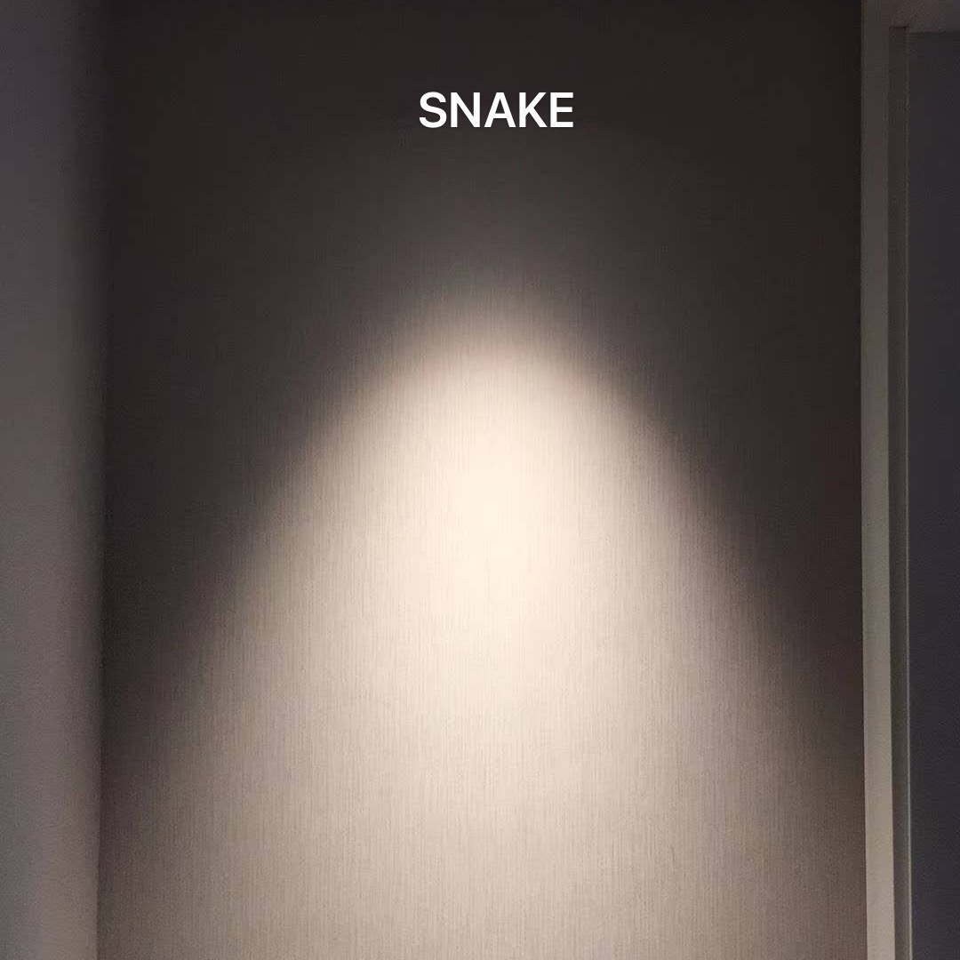 A small snake SNAKE Verona depth anti-glare adjustable angle washwall spotlight in the Tang Dynasty-Embedded Tang Dynasty Snake