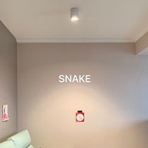 SNAKE-Bellini Downlight-Round Shell Square Shell-Surface mounted-No Ceiling