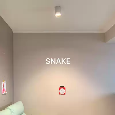 SNAKE-Bellini Downlight-Round shell square shell-Surface mounted-no hanging top