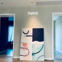 SNAKE-Robbins Anti-glare Wall Washer-Embedded