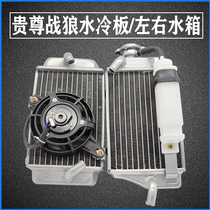 Your Noble Battle Wolf 250 left right Water tank Water tank radiator Guido War Wolf Water Cooled Version Left Tank Right Tank