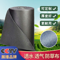 Non-woven ecological grass-proof cloth Agricultural durable new fruit tree orchard weeding grass-proof cloth cover grass cover grass film