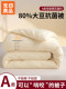 Muji Class a 80% Soybean Fiber Quilt for Student Dormitory Single Bed, Spring and Autumn Quilt, Thickened Winter Quilt, Double Quilt
