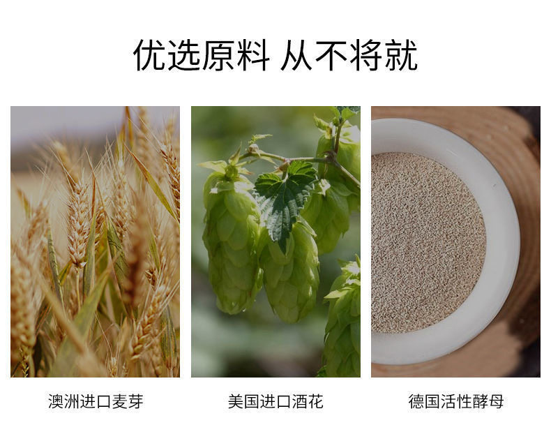 安享好物 安享A级啤酒-黑美人全麦黑啤 国标