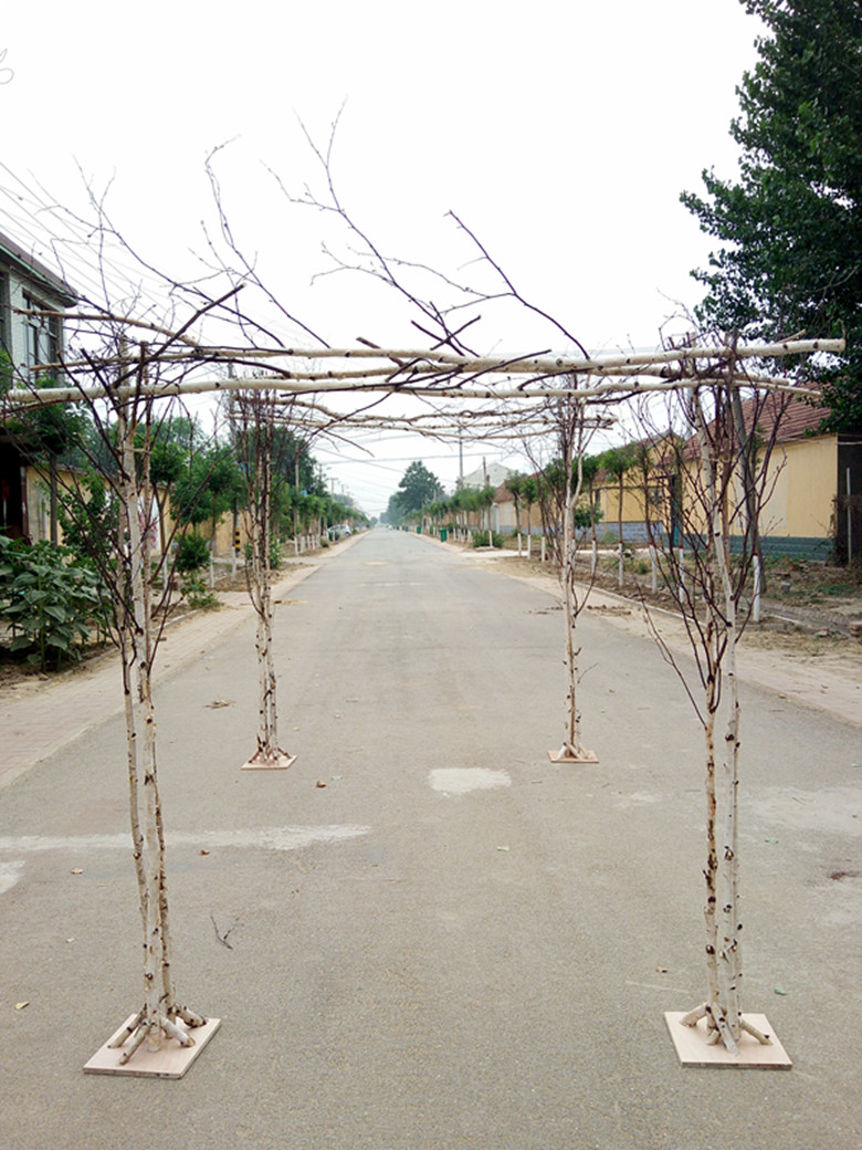 New Mori Tian Garden Wedding Celebration Solid Wood Arches Log Wood Pile Solid Wood Prop Assembly Arch White Birch Wood Pile Arch-Taobao