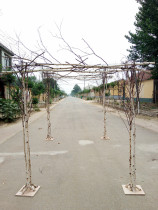 New forest pastoral wedding solid wood arch Log stakes Solid wood props assembly arch Birch pile arch