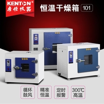 Kangheng digital display blast electric drying oven high temperature hot air circulation oven headlight modified oven smart dryer
