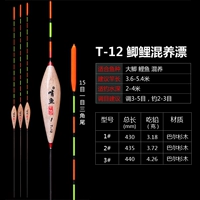 Тэмфиш Т-12