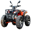 Four-Wheel Drive Beach Vehicle, Four-Wheel Off-Road Motorcycle, Adult Two-Seater Fuel-Powered 350Cc All-Terrain Mountain Bike Atv