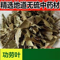 Chinese herbal medicine Gong leaves ten credit 500g 15 Chinese herbal medicine shop