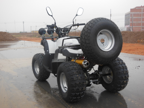 Lớn và nhỏ bò ATV bốn bánh ổ đĩa xe máy bốn bánh off-road leo núi chạy điện 125-250 trục xoay