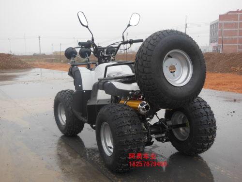 Lớn và nhỏ bull bãi biển trục xoay bốn bánh xe máy xe thể thao 125-250cc xe đạp leo núi off-road vehicle