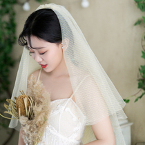 New Bride wedding tour gold silk light champagne color embroidery delicate double-layer mesh veil headgear