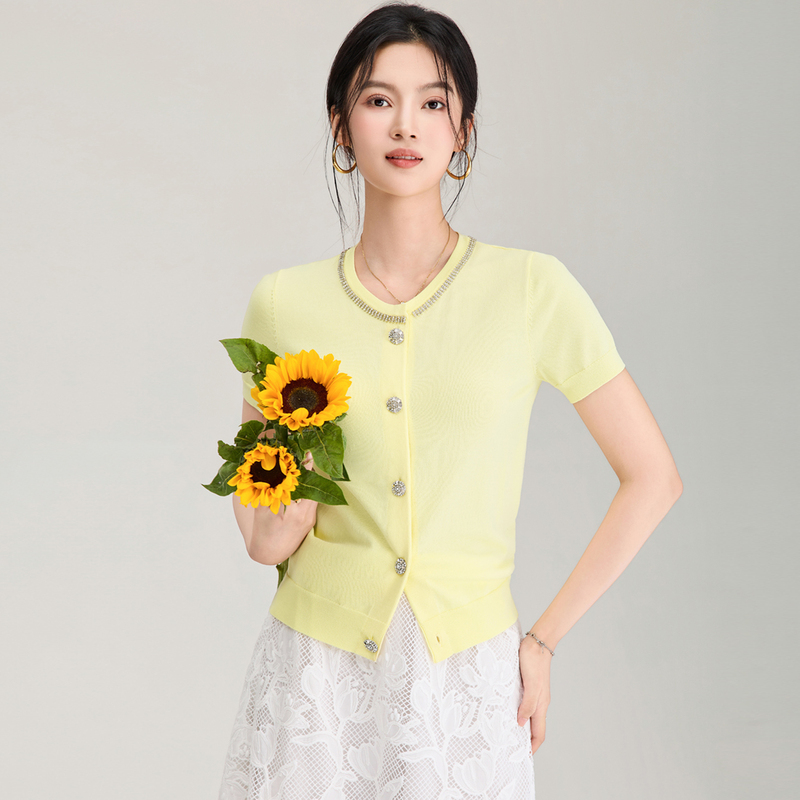 Dior-Style Short-Sleeve Knit Top for Women, 2026 Summer New Luxury Design with Rhinestone Collar, Elegant and Youthful Versatile T-Shirt