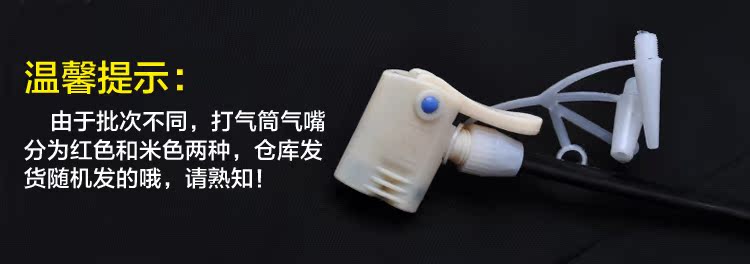 Pompe à vélo - Ref 2396453 Image 22