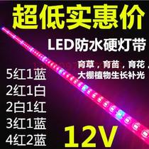 12V5630 plant growth potting glue waterproof LED hard light strip 12V high bright 5 red 1 blue LED waterproof hard light strip