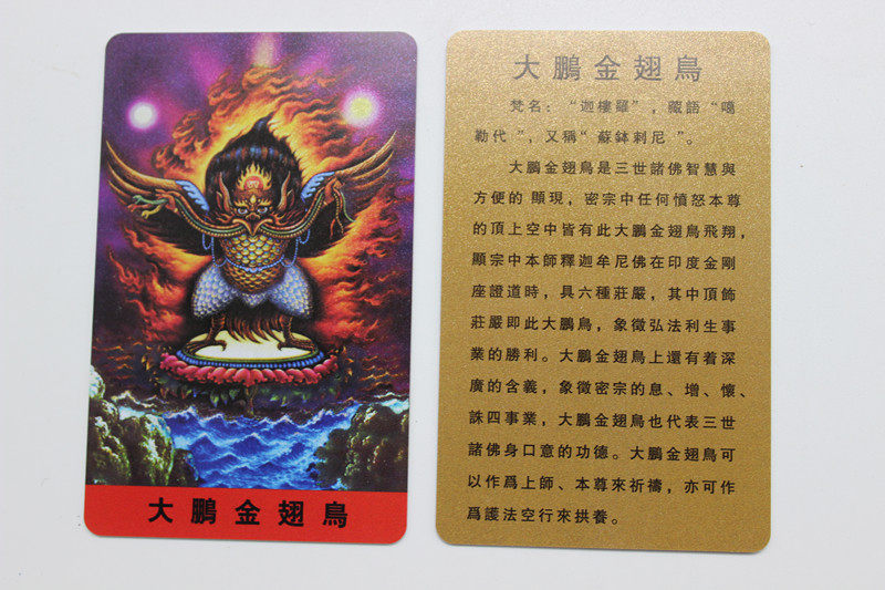 Tie-edge PVC Fokka Dapeng bird card Dapeng Golden Wings Birds small card-Taobao