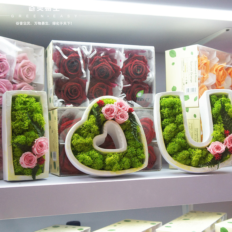 Eternal moss Eternal flower diy material package room office decoration Moss bear micro-view Eternal moss plant wall