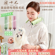 Walk seventeen Professional Pet Beauty Hair Dryer Deep Noise Reduction Mute Big Wind Hanging Neck Dog Kitty Lafur Machine