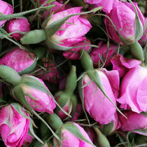 Fresh Damascus flowers flower buds or flowers are issued to start shipping flower group purchase in late April