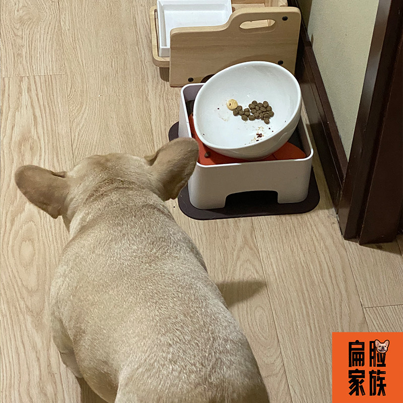 Flat face family Japanese-style French bucket special ceramic bowl dining table combination dog oblique non-slip dog food bowl dog