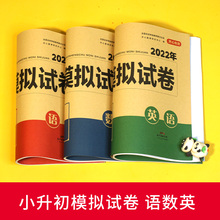 【科目任选】小升初模总复习真题冲刺拟试卷