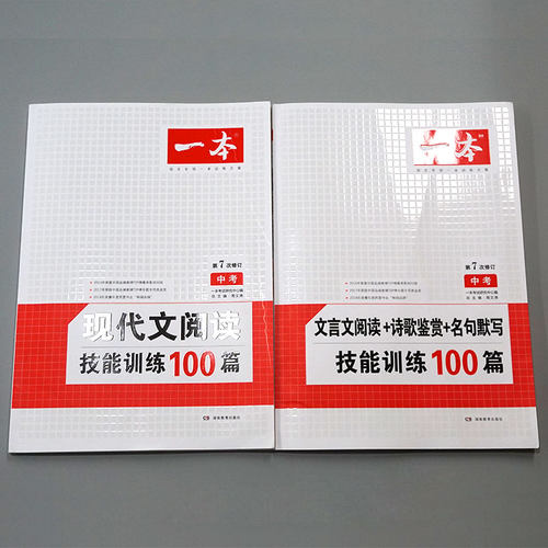 《一本》2019新人教版初中中考技能训练100篇2册