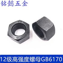 Level 12 nut 12 Rohen high strength nut GB6170 M6 M6-M36 specs complete