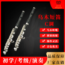 Short flute instrument Pure Uwood silver plated button Jixing instrument C Professional play