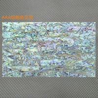 AAA -Level Abalone Shell