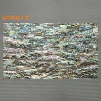 Синяя раковина