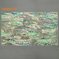 A -level Abalone Shell