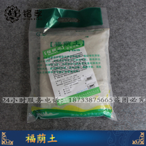 Inscription Filial Fu Shade Earth Embalming Cemetery Burial Burial Burial Burial Forn Earth Tombs Burial Bone Ash Case Under Burial Forn Earth Tomb