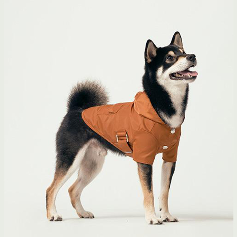 Dog Raincoat American Pehom Waterproof Windproof Warm Shiba Inu Border Collie Pet Cat and Dog Coat Windbreaker