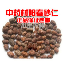 Yangchun Amomum villosum Authentic Yangchun specialty spring Amomum villosum shelled Amomum villosum dried fruit Shellless Amomum villosum rice