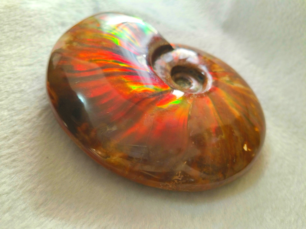 Madagascar Snail Fossil Ribbon for the transfer of fortune and fortune in the property spiro-swing piece 1 17g-Taobao