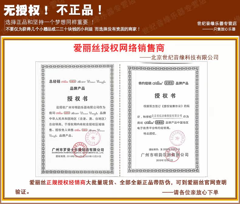 2020 Алиса авторизована