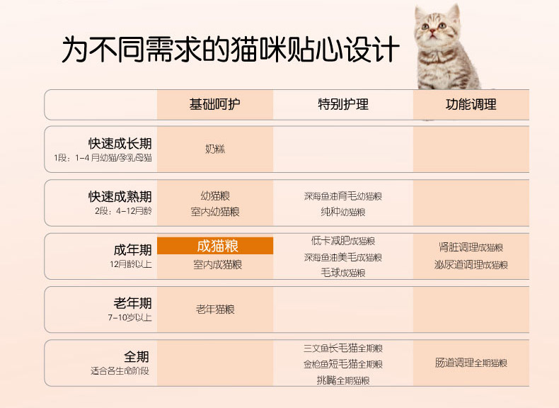 Bi Ruiji dinh dưỡng toàn diện trong nhà thành thức ăn cho mèo 2kg thức ăn chủ yếu cho mèo Anh ngắn Garfield thức ăn cho mèo - Cat Staples hạt whiskas cho mèo con