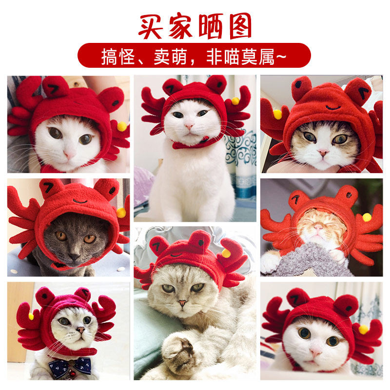 Cat headgear cute crab cat headdress funny jewelry pet Teddy dog ​​hat funny cat hat