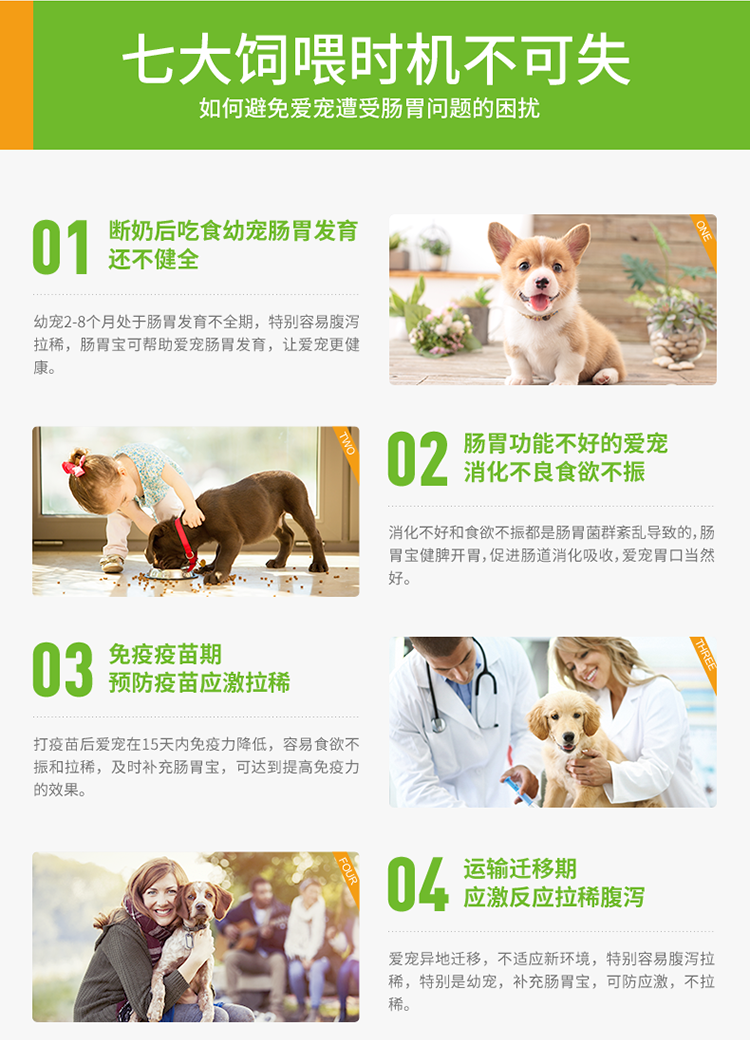Vật nuôi nhỏ vật nuôi dạ dày kho báu mèo và con chó sản phẩm sức khỏe chế phẩm sinh học mèo điều hòa dạ dày để cải thiện khả năng miễn dịch sữa cho chso mẹ