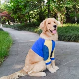 Золотой ретривер собака Кермид Лабораторная лабораторная лабрадор