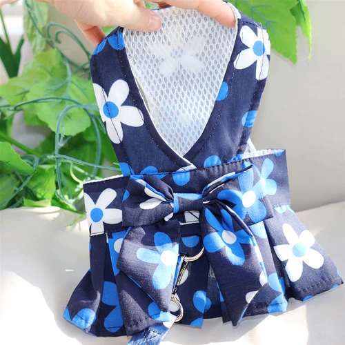 Тедди Баррин Январь Февраль, маленькая молочная собака собака, закрытая юбка для ветря