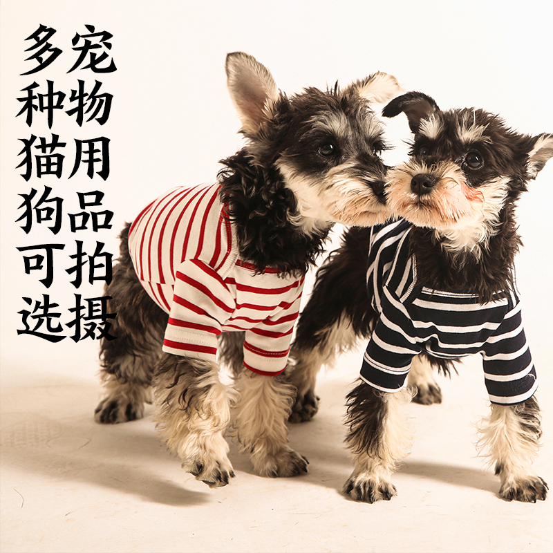 Nanjing Zhicheng Pet Photography ServicesPet snack canned pet supplies shoot photography description
